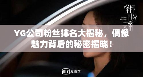 YG公司粉丝排名大揭秘，偶像魅力背后的秘密揭晓！