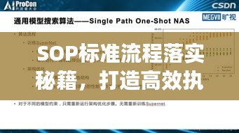 SOP标准流程落实秘籍，打造高效执行力，成就卓越管理！