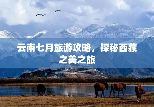 云南七月旅游攻略，探秘西藏之美之旅