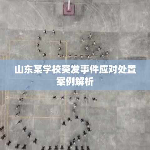 山东某学校突发事件应对处置案例解析