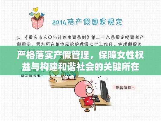 严格落实产假管理，保障女性权益与构建和谐社会的关键所在