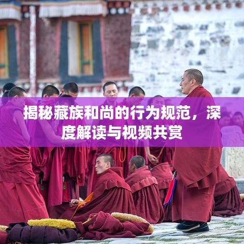 揭秘藏族和尚的行为规范，深度解读与视频共赏