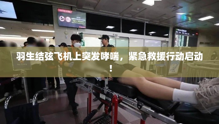 羽生结弦飞机上突发哮喘，紧急救援行动启动！