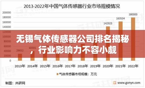 无锡气体传感器公司排名揭秘，行业影响力不容小觑