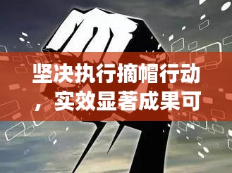 坚决执行摘帽行动，实效显著成果可期