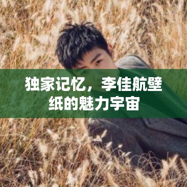 独家记忆，李佳航壁纸的魅力宇宙