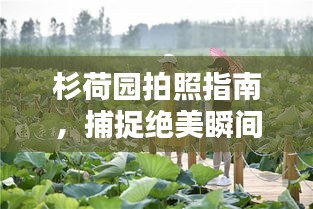 杉荷园拍照指南，捕捉绝美瞬间，留下无限回忆
