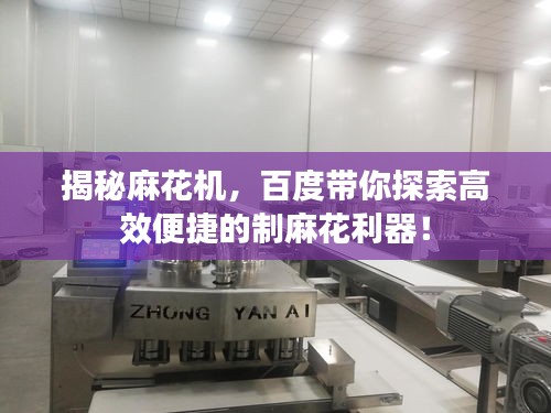 揭秘麻花机，百度带你探索高效便捷的制麻花利器！