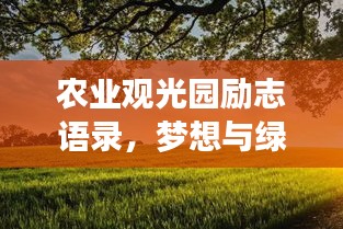 资格证书 第74页