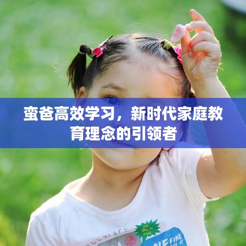 蛮爸高效学习，新时代家庭教育理念的引领者