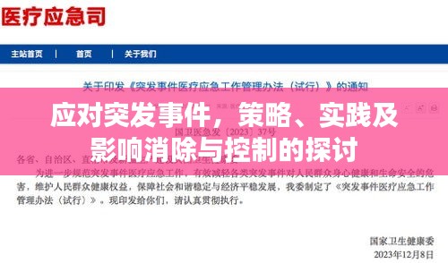 应对突发事件，策略、实践及影响消除与控制的探讨