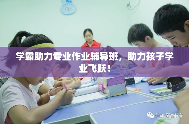学霸助力专业作业辅导班，助力孩子学业飞跃！