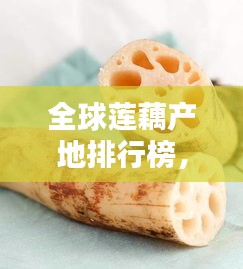 全球莲藕产地排行榜，探寻莲藕之乡的奥秘！