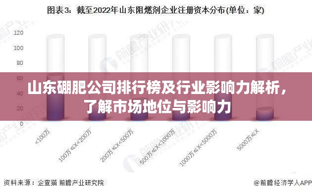 山东硼肥公司排行榜及行业影响力解析，了解市场地位与影响力