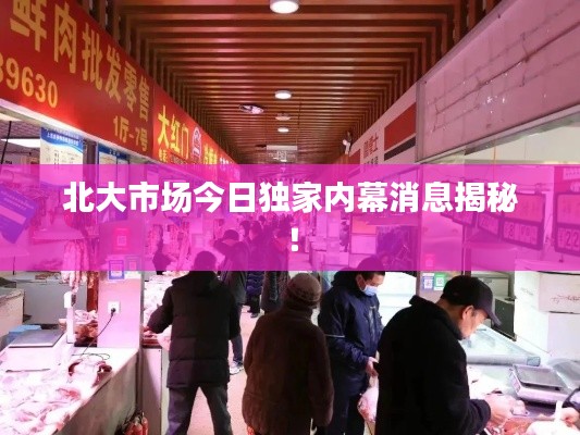 北大市场今日独家内幕消息揭秘！