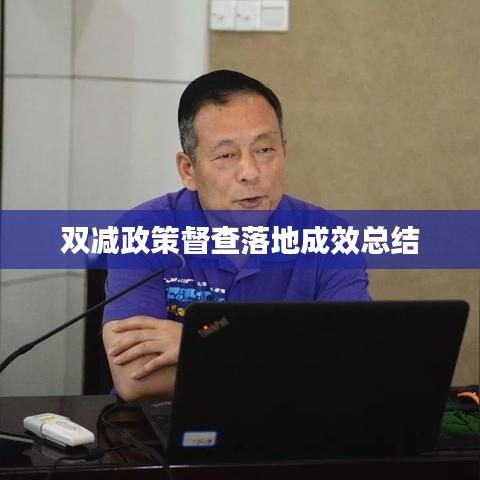 双减政策督查落地成效总结