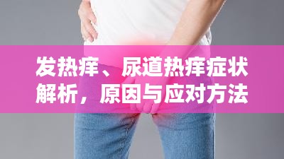 发热痒、尿道热痒症状解析，原因与应对方法