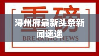 浔州府最新头条新闻速递