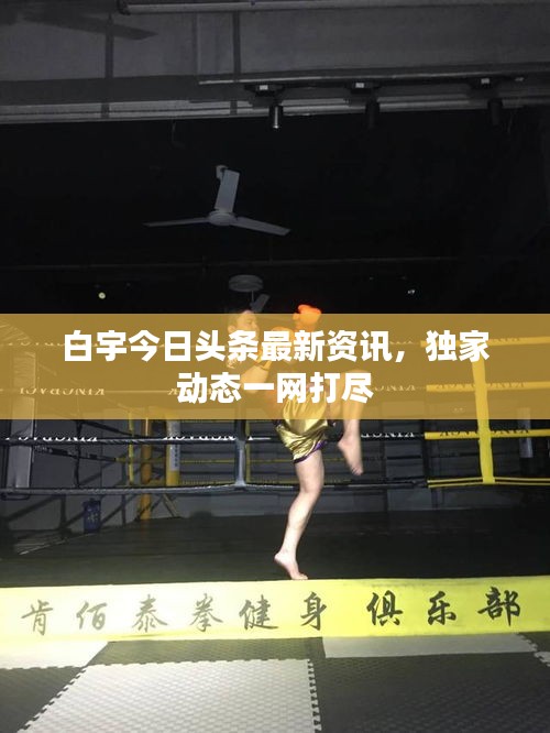 白宇今日头条最新资讯，独家动态一网打尽