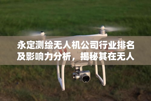 永定测绘无人机公司行业排名及影响力分析，揭秘其在无人机领域的地位