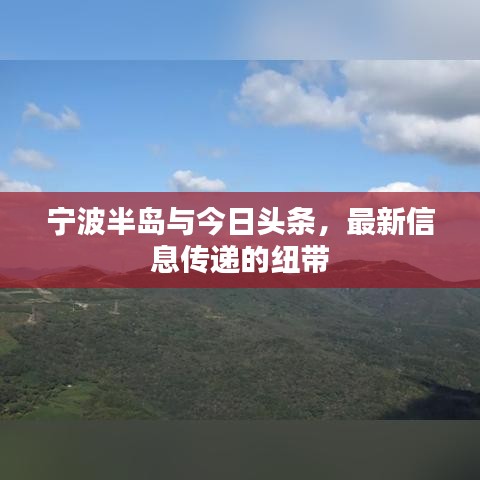宁波半岛与今日头条，最新信息传递的纽带