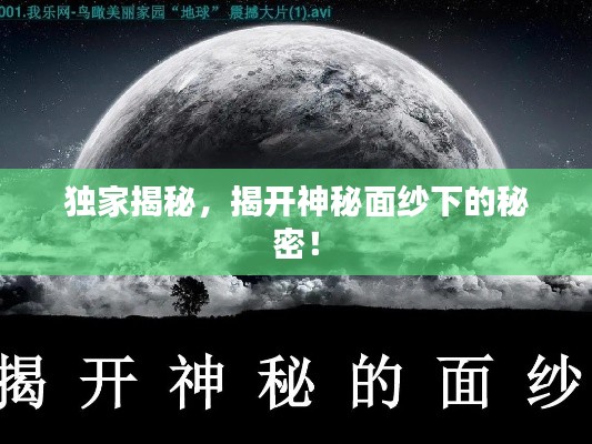 鸟覆危巢 第2页
