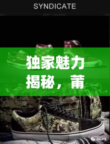 独家魅力揭秘，莆田鞋的独特店铺与风采展现