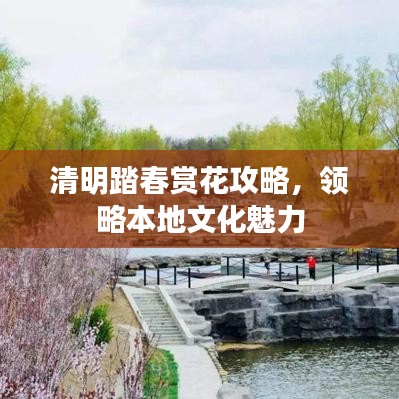 清明踏春赏花攻略，领略本地文化魅力