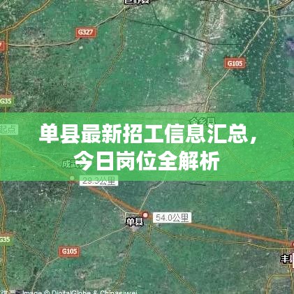 单县最新招工信息汇总，今日岗位全解析
