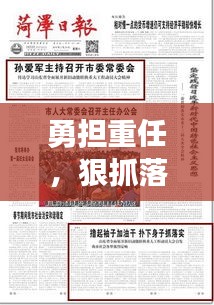 勇担重任，狠抓落实，成效显著！