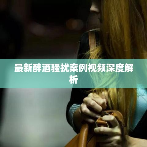 最新醉酒骚扰案例视频深度解析
