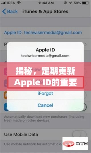 揭秘，定期更新Apple ID的重要性及其潜在影响