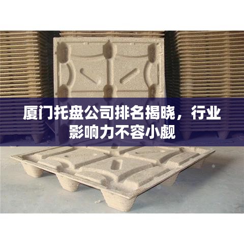 厦门托盘公司排名揭晓，行业影响力不容小觑