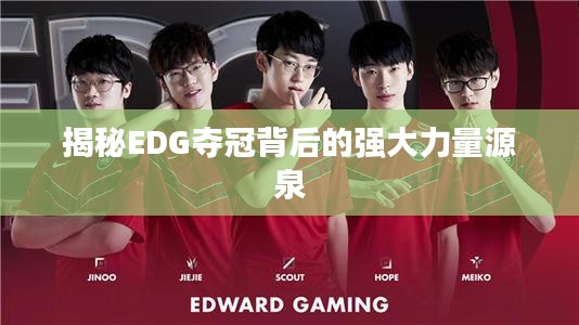 揭秘EDG夺冠背后的强大力量源泉