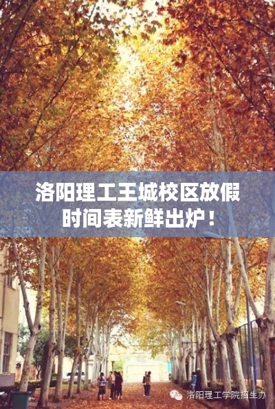 洛阳理工王城校区放假时间表新鲜出炉！