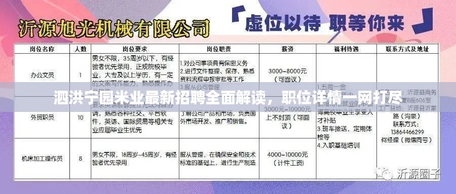 泗洪宁园米业最新招聘全面解读，职位详情一网打尽