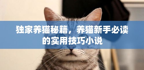 独家养猫秘籍，养猫新手必读的实用技巧小说