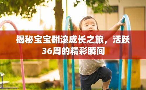 揭秘宝宝翻滚成长之旅，活跃36周的精彩瞬间