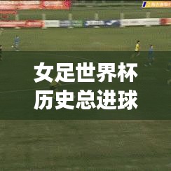 女足世界杯历史总进球排名一览表，揭秘赛事射手榜辉煌篇章
