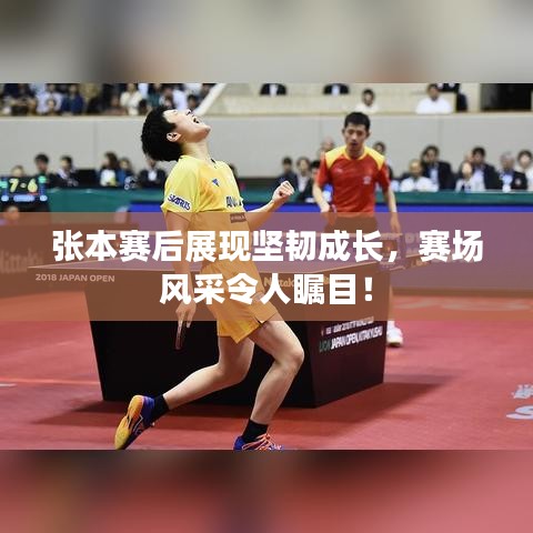 张本赛后展现坚韧成长，赛场风采令人瞩目！