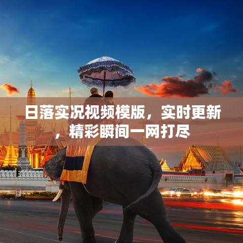 鸟穷则啄 第2页