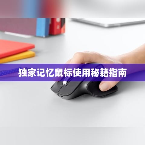 独家记忆鼠标使用秘籍指南
