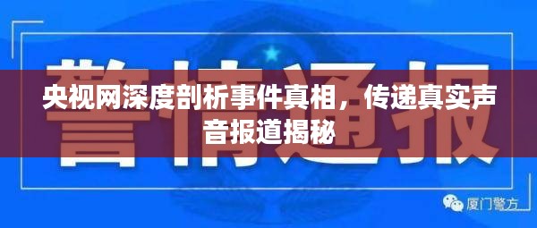 央视网深度剖析事件真相，传递真实声音报道揭秘