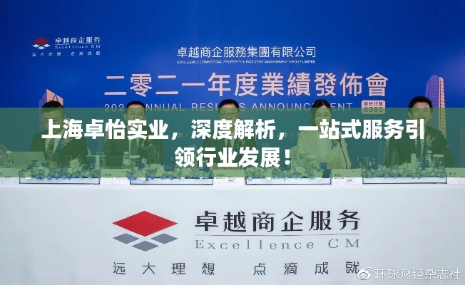 上海卓怡实业，深度解析，一站式服务引领行业发展！