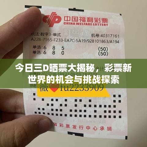 今日三D晒票大揭秘，彩票新世界的机会与挑战探索