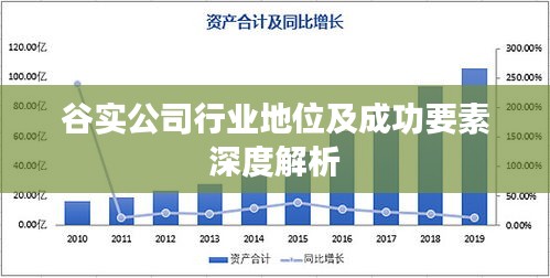 谷实公司行业地位及成功要素深度解析