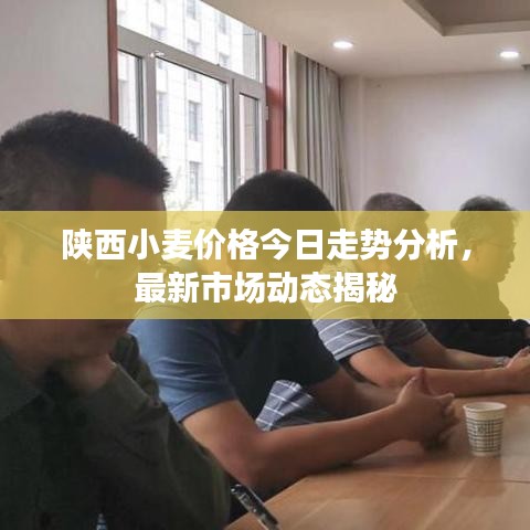 陕西小麦价格今日走势分析，最新市场动态揭秘
