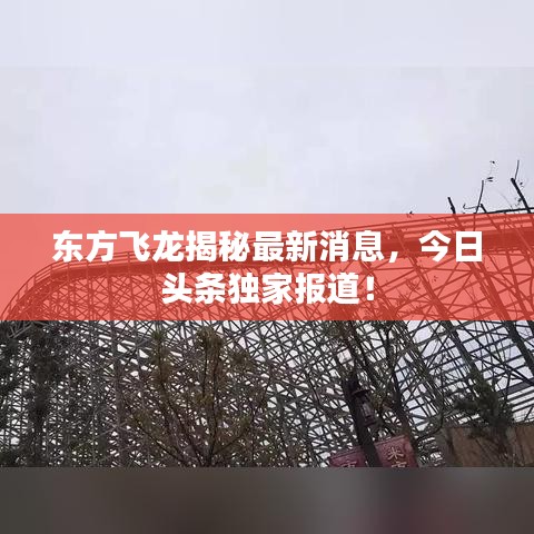 东方飞龙揭秘最新消息，今日头条独家报道！