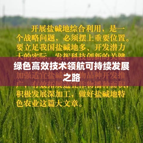 绿色高效技术领航可持续发展之路