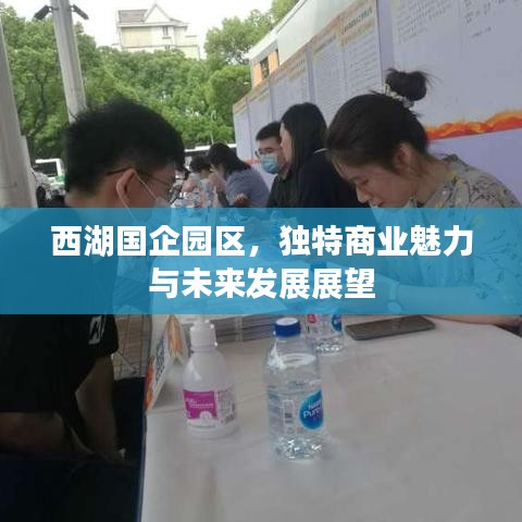 西湖国企园区，独特商业魅力与未来发展展望
